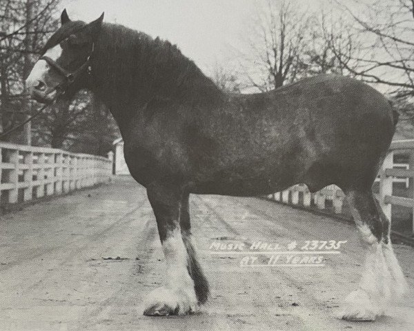 Deckhengst Music Hall 20681 (Clydesdale, 1920, von Dunure Footprint 15203)