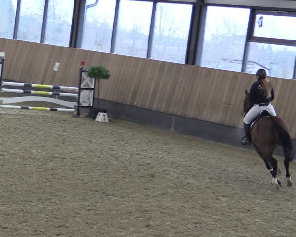 Reitturnier Zwickau 2025