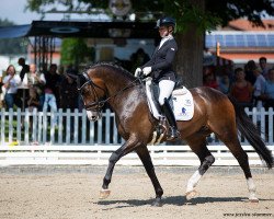 dressage horse Zapato 5 (Deutsches Sportpferd, 2015, from Birkhof's Zalando OLD)