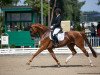 dressage horse Bavalou (Mecklenburg, 2015, from Belantis)