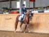 dressage horse Calimero HS (German Riding Pony, 2020, from Cooper County WE)