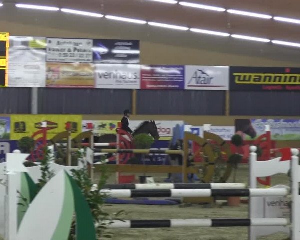 6. Isterberger Euregio-Hallen Springturnier vom 10.-13.10.2013