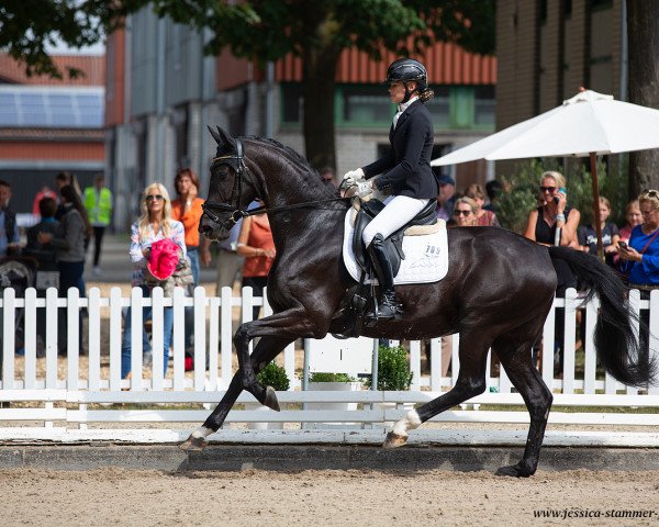 dressage horse Special Diva 3 (Westphalian, 2015, from Sezuan)