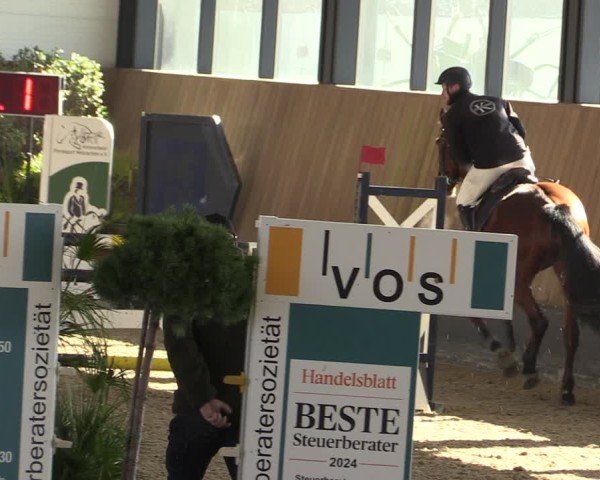 Reitturnier Zwickau 2025
