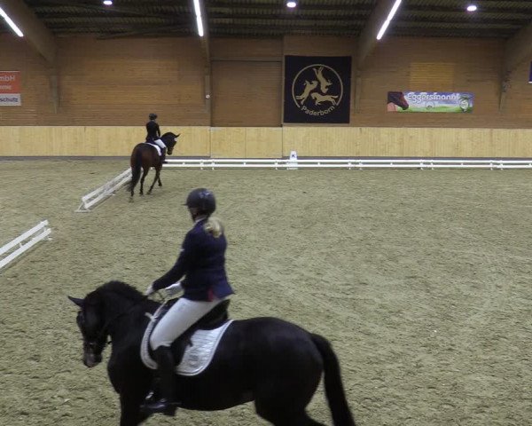 Reitturnier Paderborn 2021