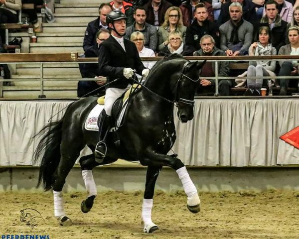 stallion Bernay (Rhinelander, 2011, from Boston)