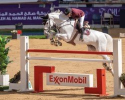 jumper Lisa Perina F (KWPN (Royal Dutch Sporthorse), 2016, from Cape Coral Rbf Z)