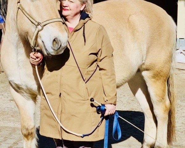 horse Glorieux d'Ober (Fjord Horse, 2016, from Kamil)