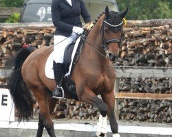 dressage horse Sir Lehmann 4 (German Sport Horse, 2010, from Lehmann 15)