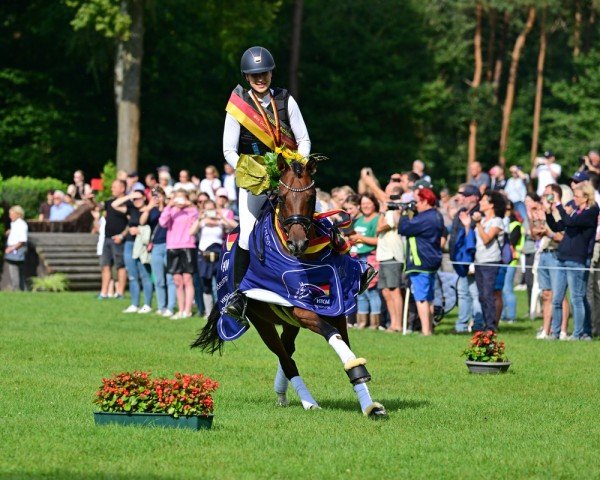 Springpferd Coralina D (Deutsches Reitpony, 2019, von Top Champion)