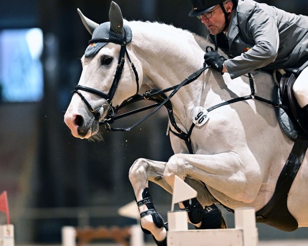 jumper Dubai van het Beeckhof Z (Zangersheide riding horse, 2014, from Dieu-Merci van T&L)