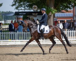 dressage horse Magic Mike 7 (German Sport Horse, 2015, from E.H. Millennium)