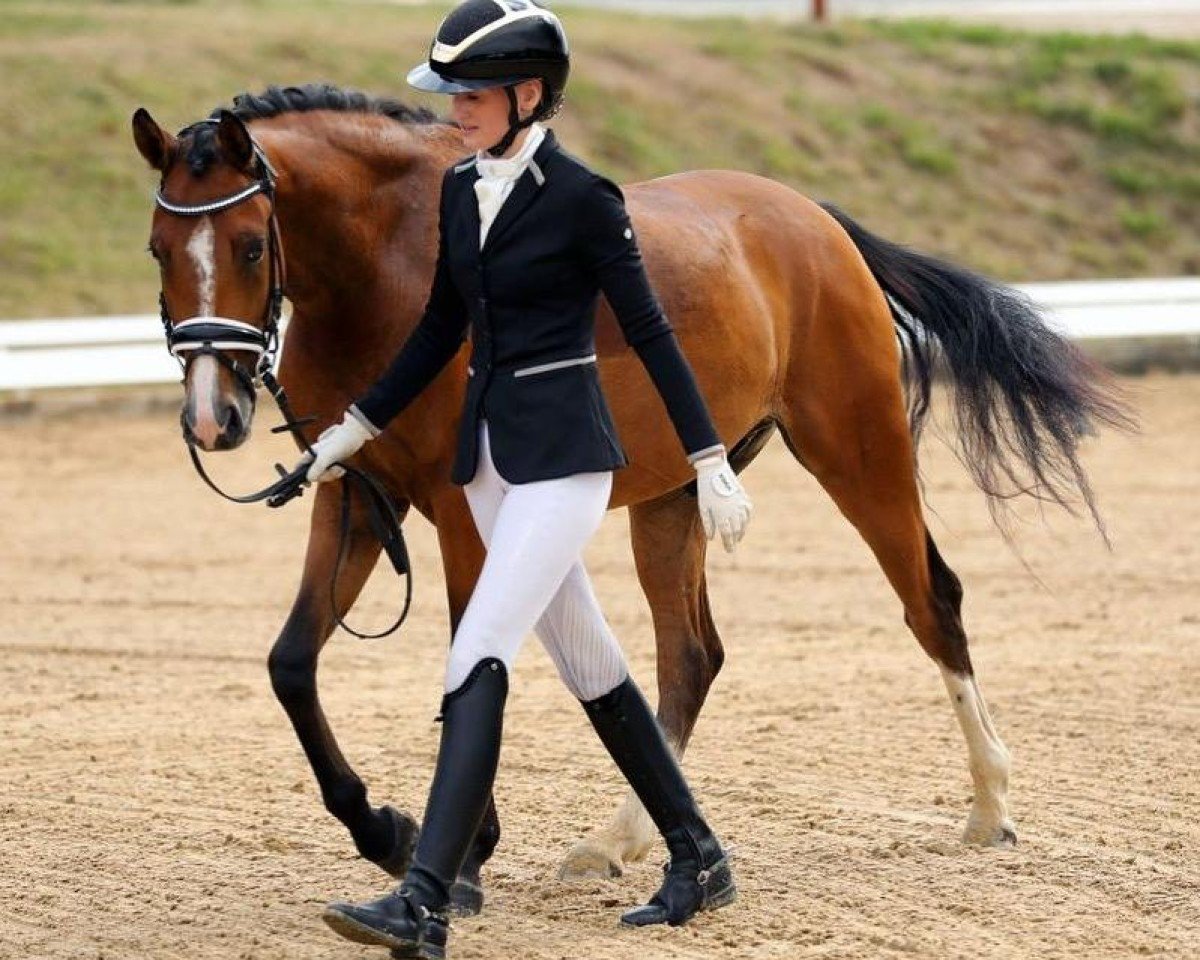 dressage horse Crown Cardashian (German Riding Pony, 2021)