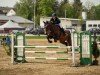 jumper First Licht (KWPN (Royal Dutch Sporthorse), 2010, from Zacharov Tn)