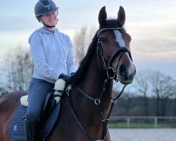 jumper Crunchy Nut 17 (Hanoverian, 2020, from Carridam)