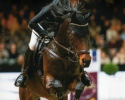 jumper Dolly Jumper H (German Riding Pony, 2016, from Dialo)
