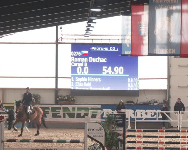 Reitturnier Borken (Hessen) 2025