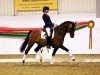 dressage horse Bernwode Broadway (British Riding Pony, 2006, from Bernwode Brokat)