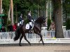 dressage horse Greyson (Oldenburg, 2015, from Grey Flanell)