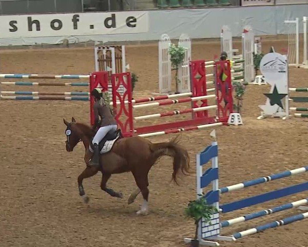 Reitturnier Kreuth 2025