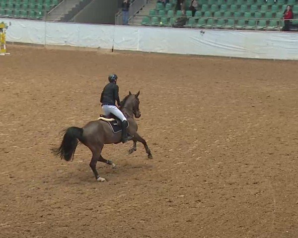 Reitturnier Kreuth 2025