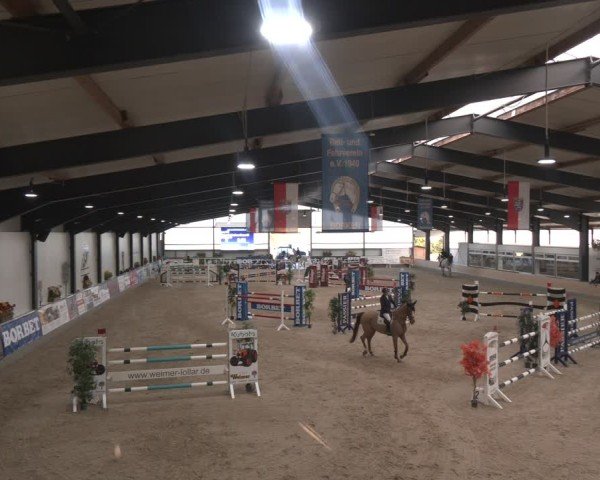 Reitturnier Borken (Hessen) 2025