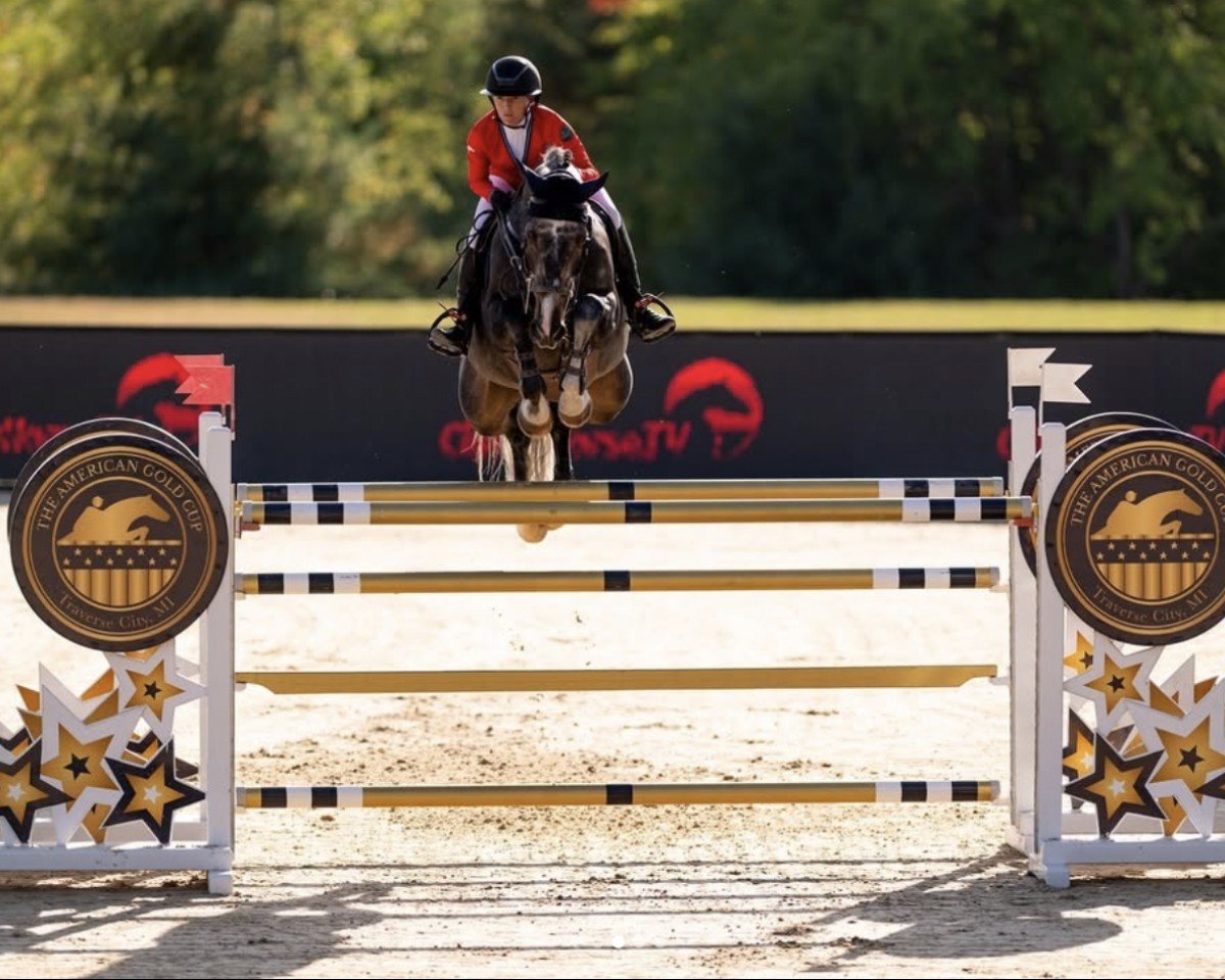 Springpferd Conrado 12 (Zangersheide Reitpferd, 2013, von VDL Cardento 933)