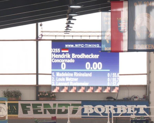 Reitturnier Borken (Hessen) 2025