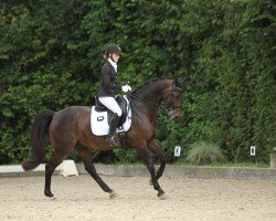 dressage horse Cucujo (Westphalian, 2010, from Cordobes II)