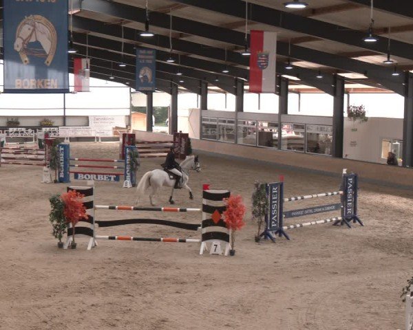 Reitturnier Borken (Hessen) 2025