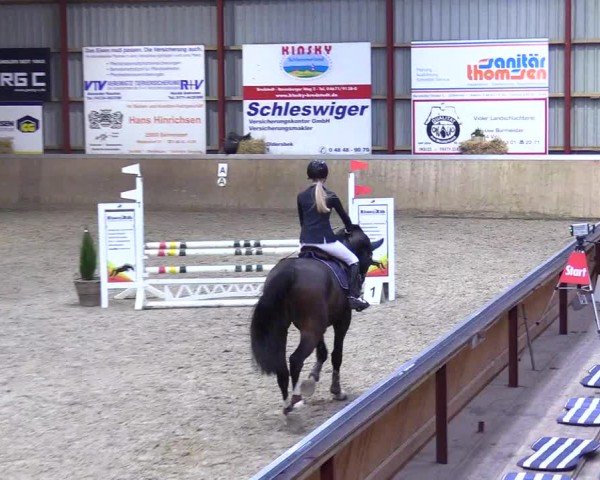 Reitturnier Behrendorf 2025