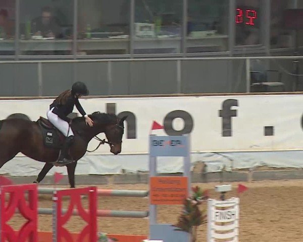Reitturnier Kreuth 2025