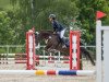 jumper Hamlet's Manhattan (New Forest Pony, 2010, from Woodrow Carisbrooke)