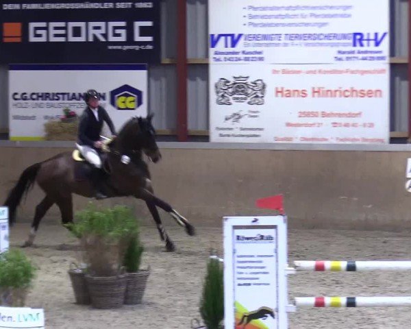 Reitturnier Behrendorf 2025