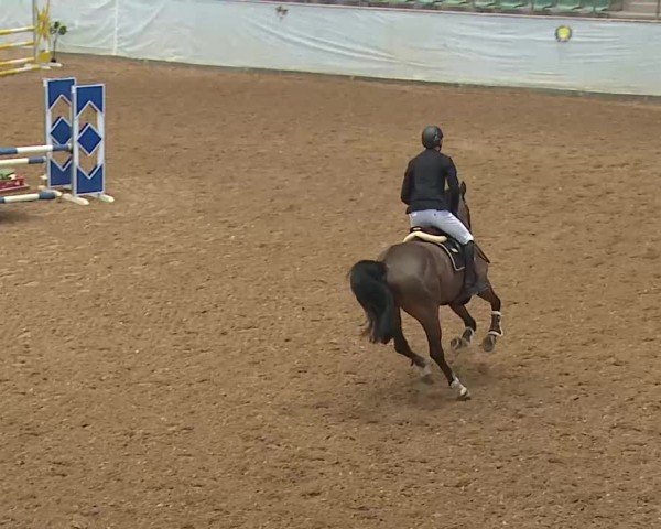 Reitturnier Kreuth 2025