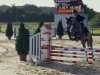 jumper Ballaleica 3 (KWPN (Royal Dutch Sporthorse), 2014, from Baltic VDL)