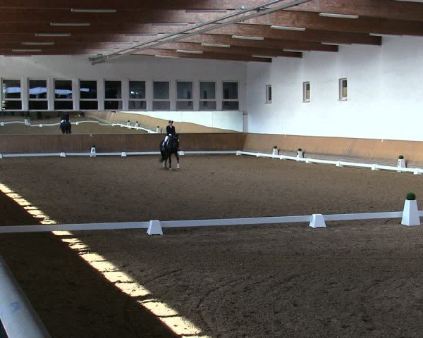 Reitturnier Freudenberg 2025