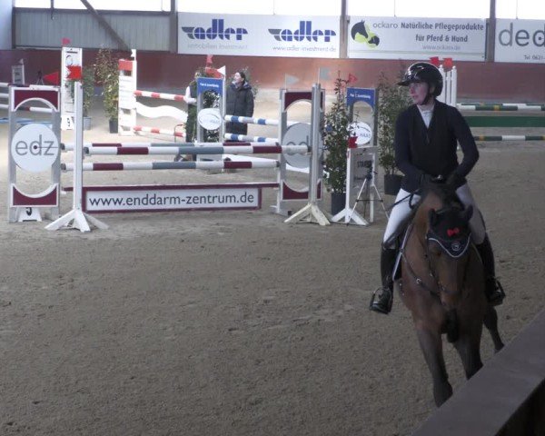 Reitturnier Viernheim 2025