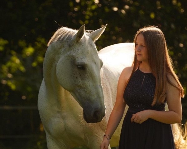 jumper Caro-Lina (German Sport Horse, 2008, from Colorit)