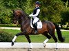 dressage horse Bon Gregoria PS OLD (Oldenburg, 2015, from Bon Bravour)