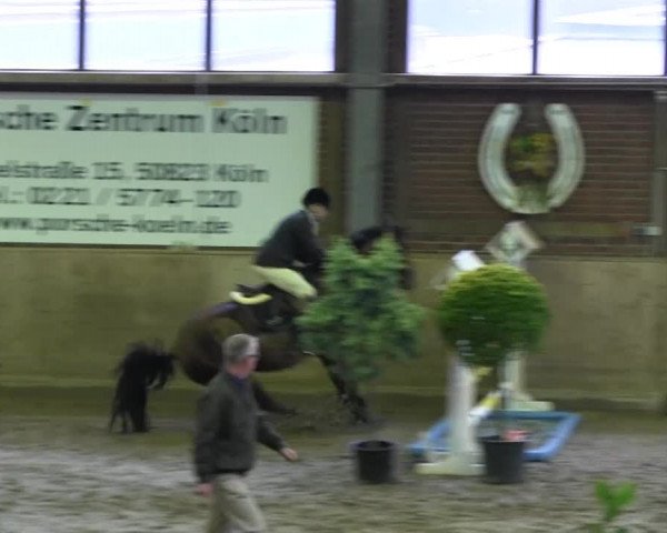 Köln-Leverkusen 2013
