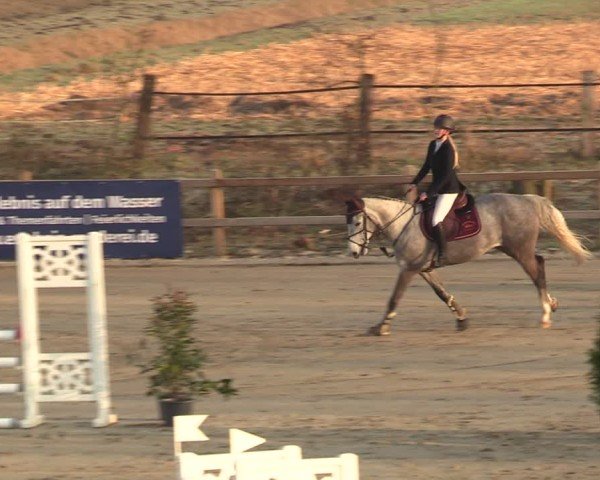 Reitturnier Scharnebeck 2025