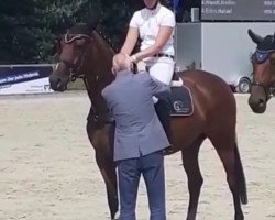 jumper Lilly (Oldenburg show jumper, 2016, from Chaccato)