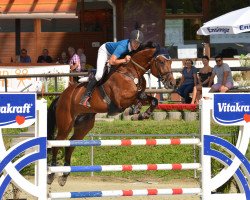 jumper Chacco 34 (Oldenburg show jumper, 2009, from Chacco-Blue)