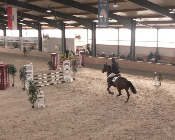 Reitturnier Borken (Hessen) 2025