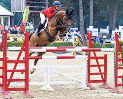 jumper Lesodero (Oldenburg show jumper, 2009, from Lordanos)