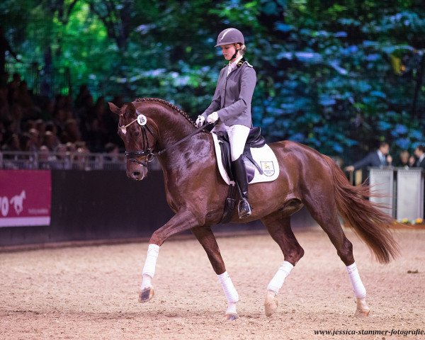 stallion Finnigan (Hanoverian, 2013, from Fuechtels Floriscount OLD)