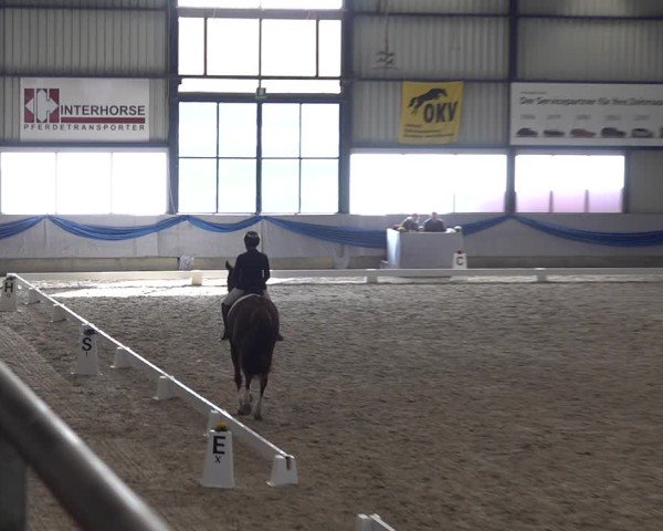 Reitturnier Buchs ZH 2025