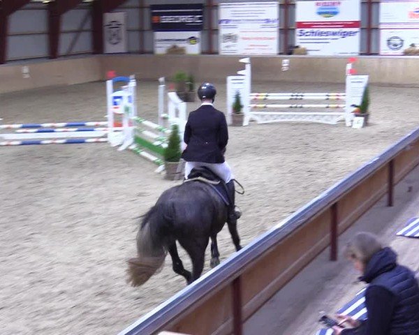 Reitturnier Behrendorf 2025