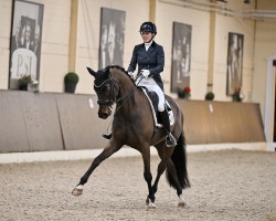 dressage horse Soraya Unique (Oldenburg, 2013, from For Romance I)